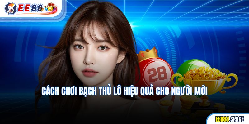 Cách chơi bạch thủ lô hiệu quả cho người mới