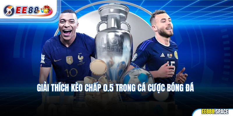 Giải thích kèo chấp 0.5 trong cá cược bóng đá