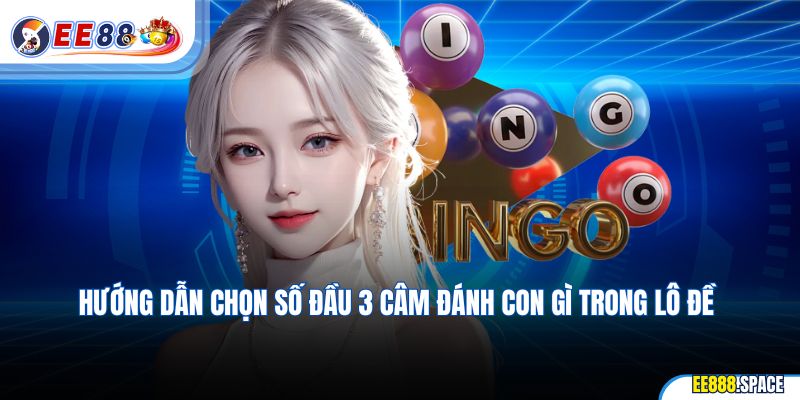 Hướng dẫn chọn số đầu 3 câm đánh con gì trong lô đề